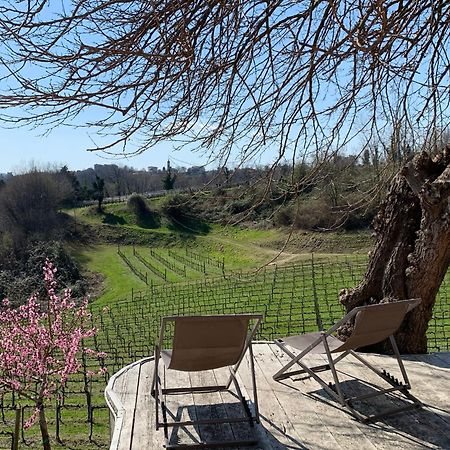 Ca'Vittoria - Prosecco Experience - Unesco Conegliano Esterno foto