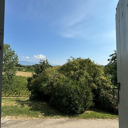 Ca'Vittoria - Prosecco Experience - Unesco Conegliano Esterno foto