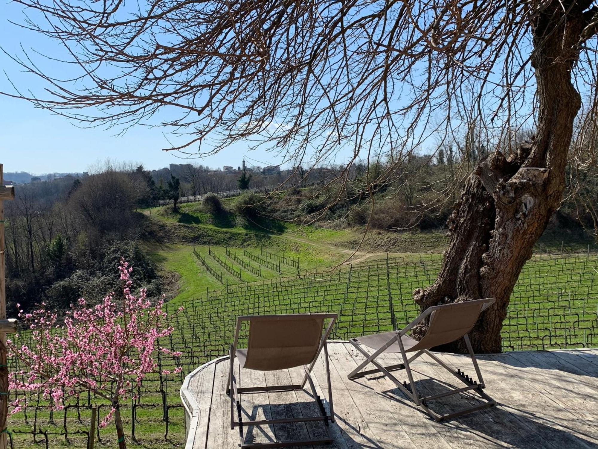 Ca'Vittoria - Prosecco Experience - Unesco Conegliano Esterno foto