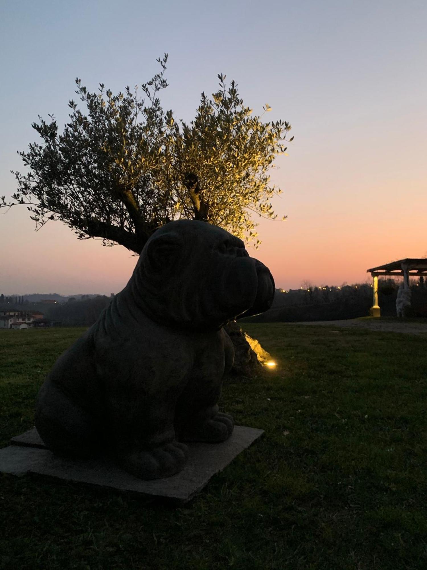 Ca'Vittoria - Prosecco Experience - Unesco Conegliano Esterno foto