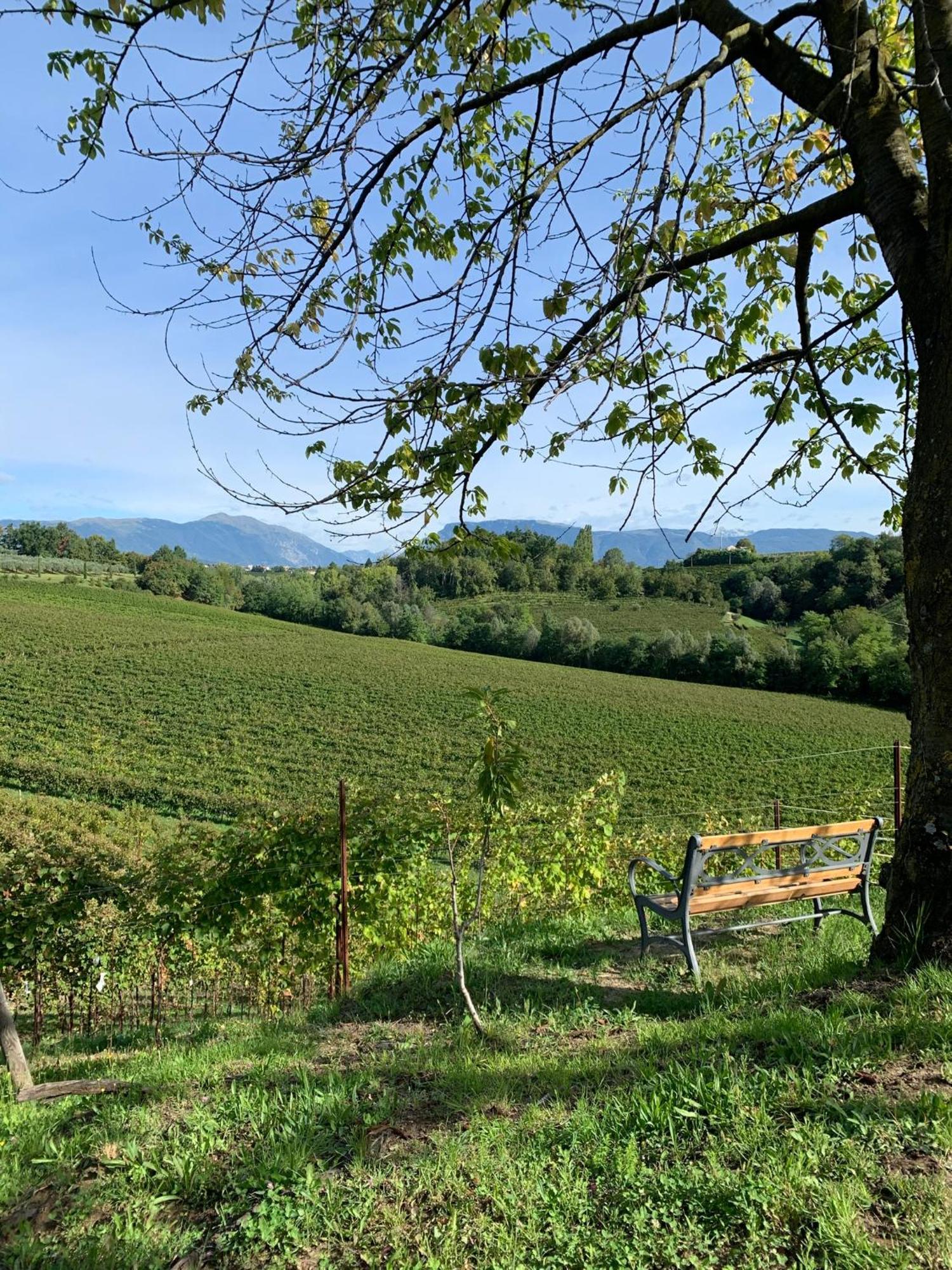 Ca'Vittoria - Prosecco Experience - Unesco Conegliano Esterno foto
