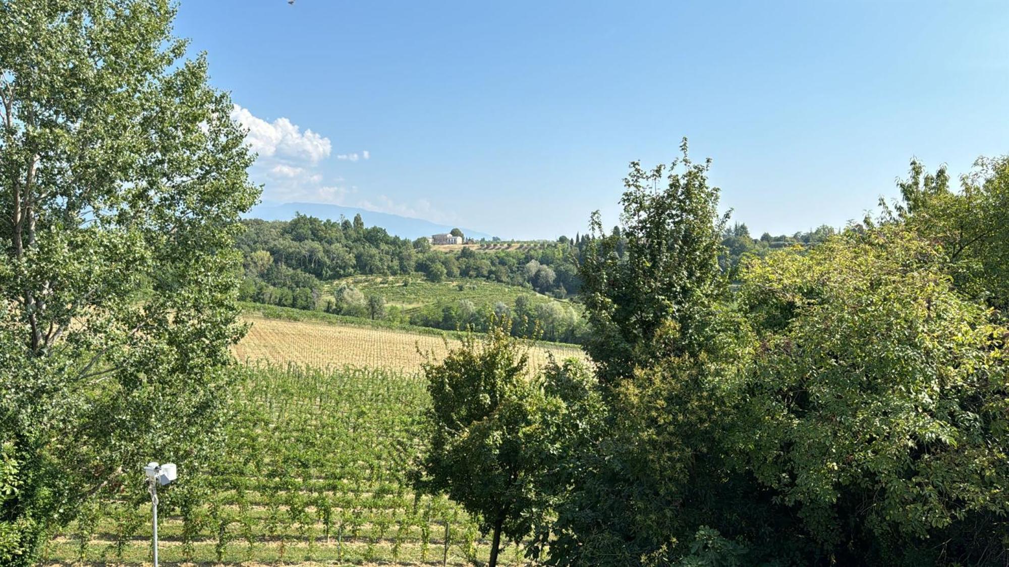 Ca'Vittoria - Prosecco Experience - Unesco Conegliano Esterno foto